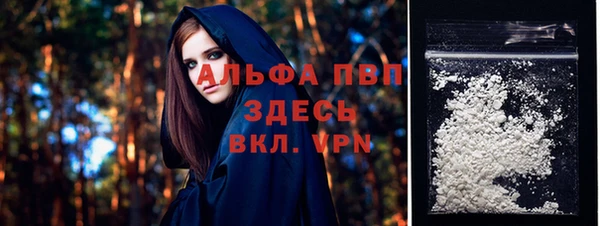 сатива Дегтярск