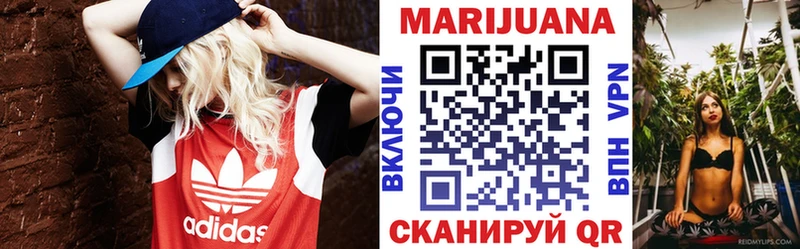 Шишки марихуана планчик  купить наркотики цена  Невель 